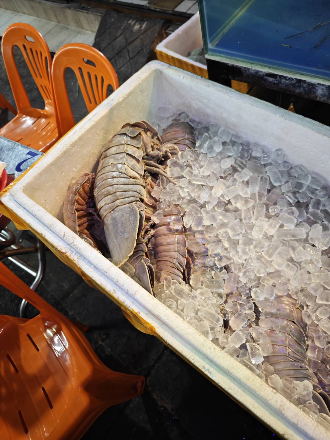 我靠是大王具足蟲