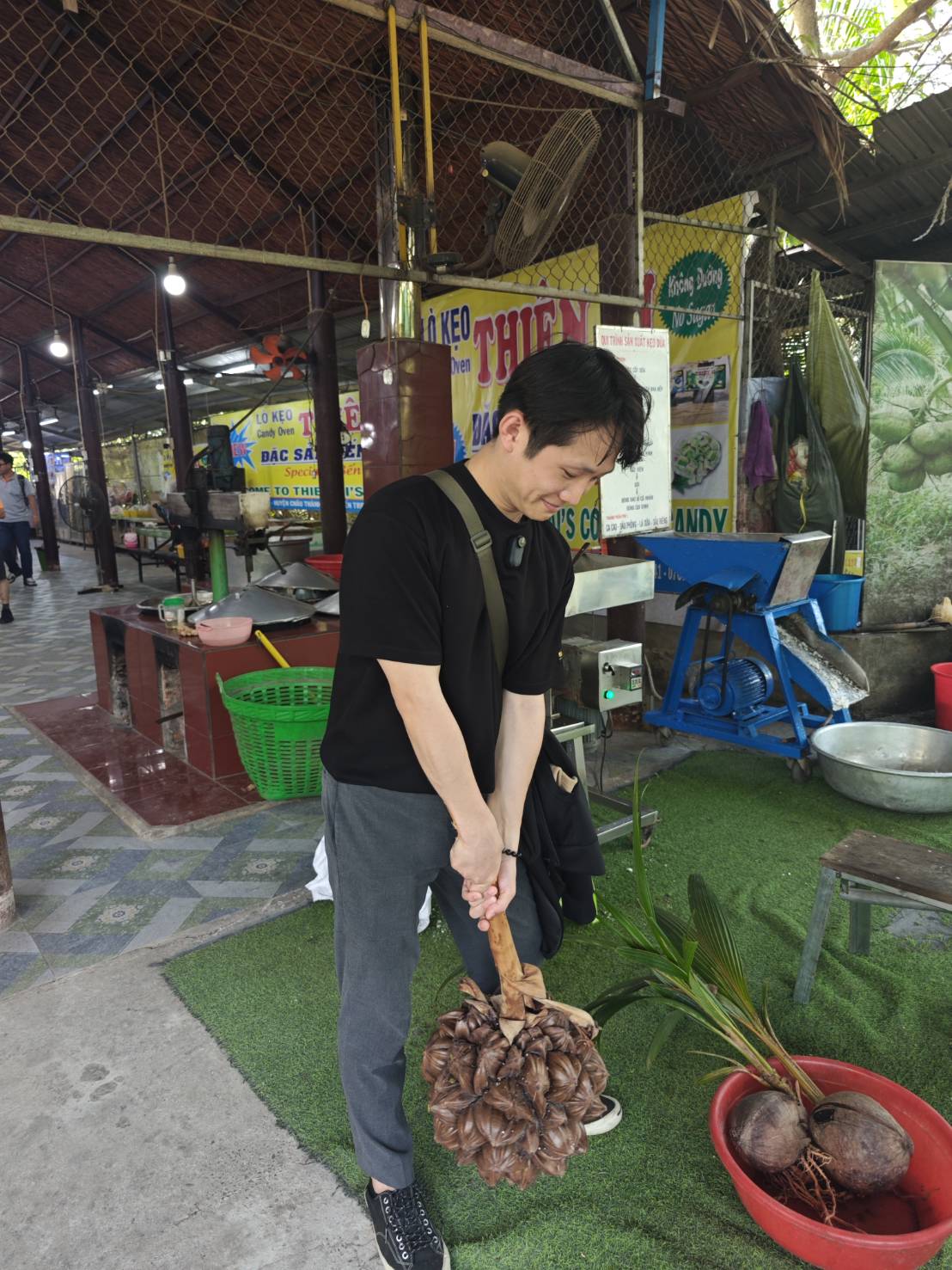 下一秒椰子被我摔爛