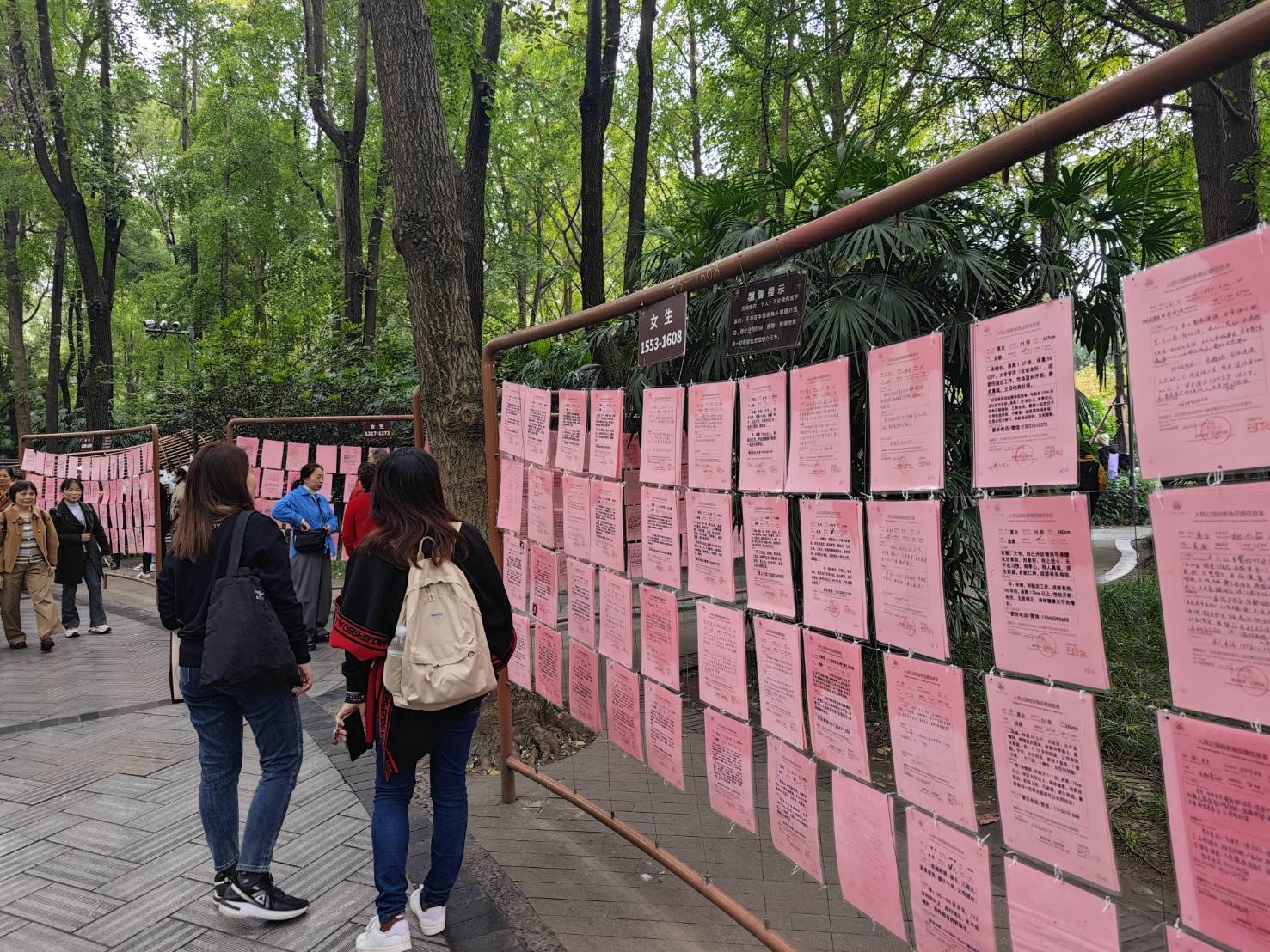 成都基本上沒有太陽, 大家的要求都是陽光男女..., 男生要 170up, 女生要沒有弟弟?