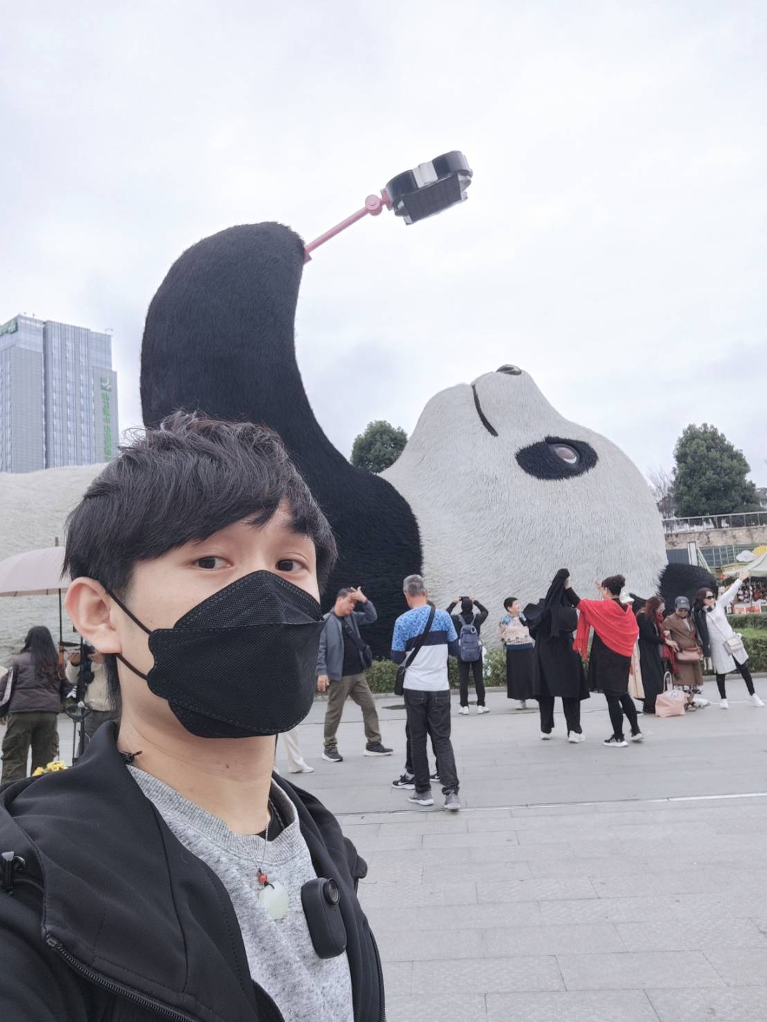 大熊貓, 網紅景點