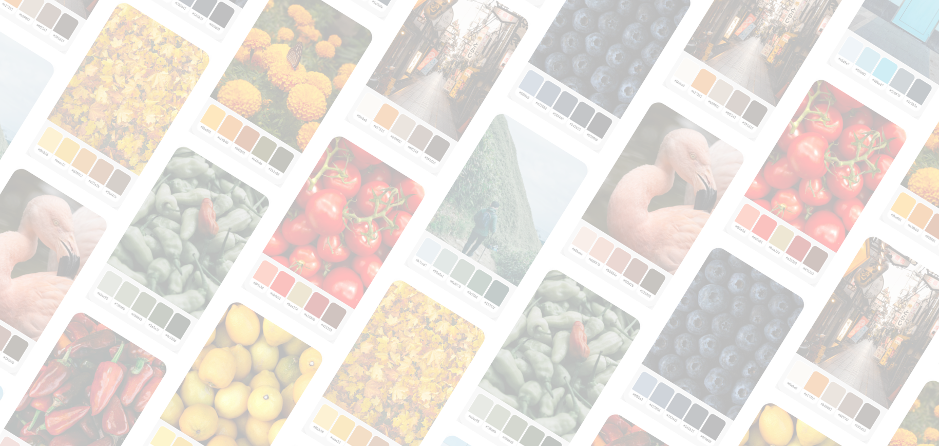 Colorly | 1. 整合 Spring Cloud 的顏色擷取專案